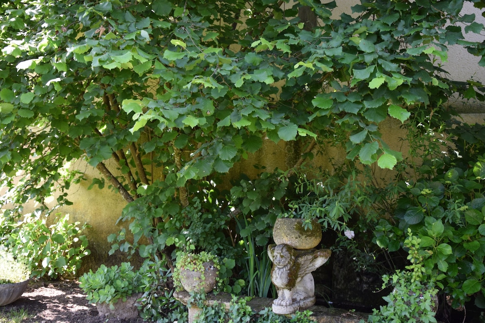 L'Intemporelle