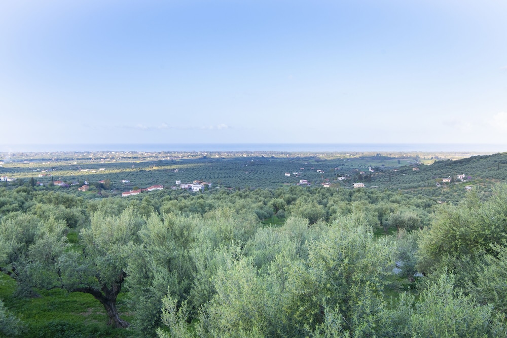 Photo 44