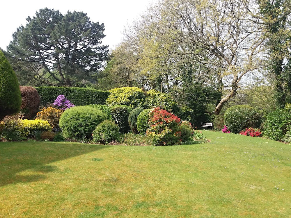 Trevow, photo 31