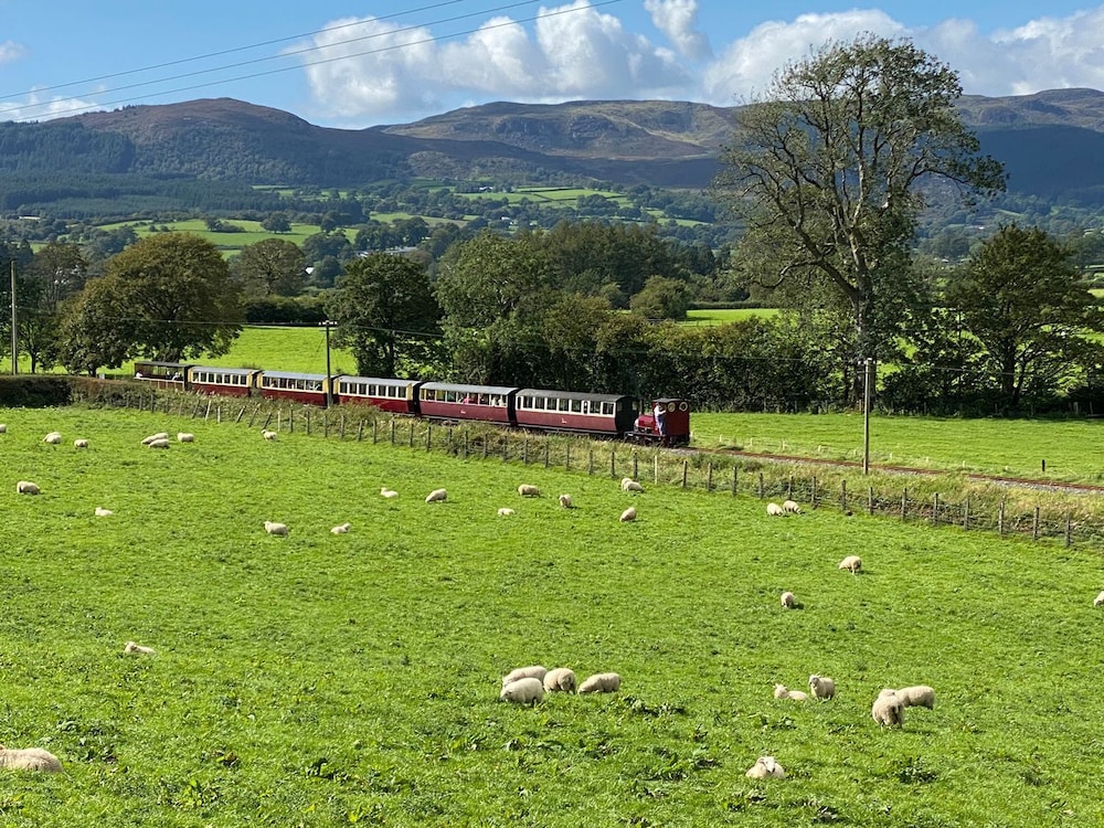 Tremyfron