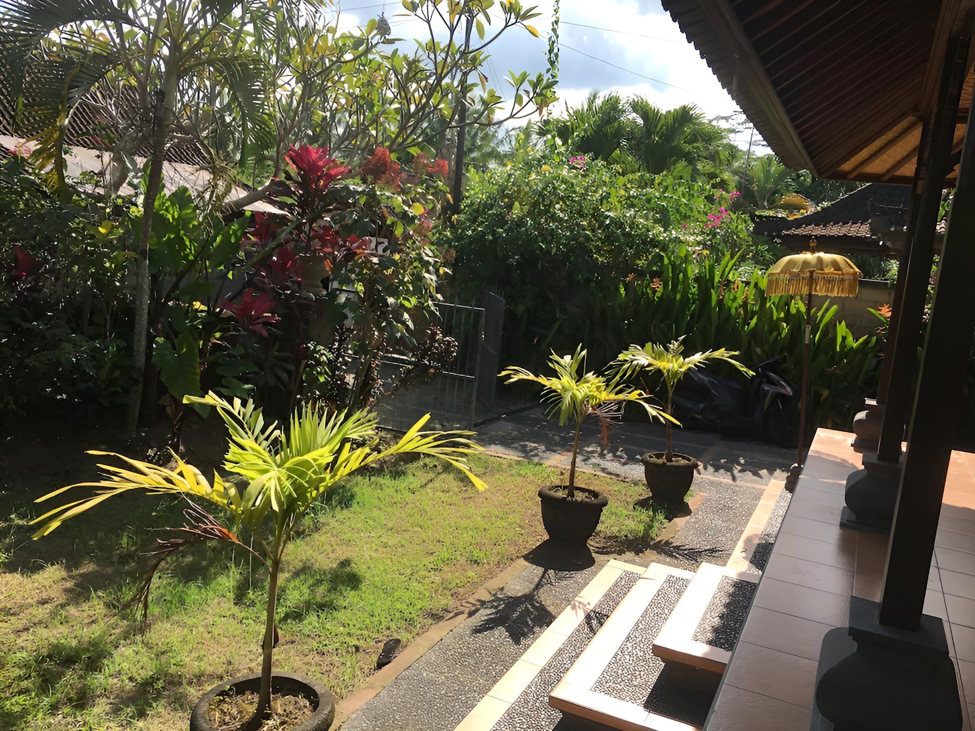 Ayung house
