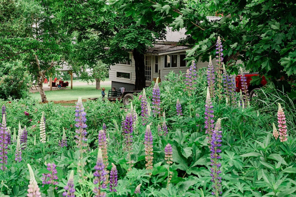 Portage Lakeside Cabins