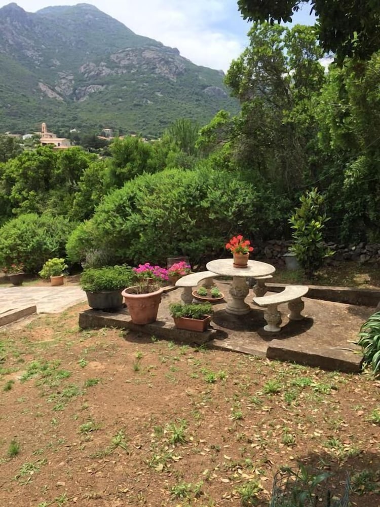 A Martinella photo 2
