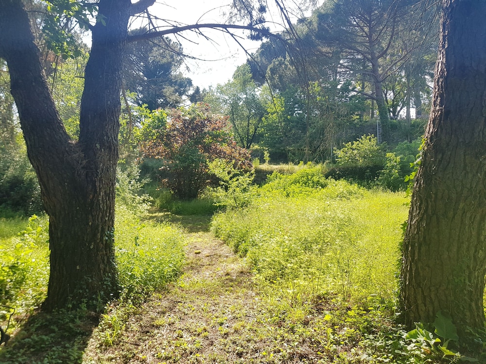 Photo 43