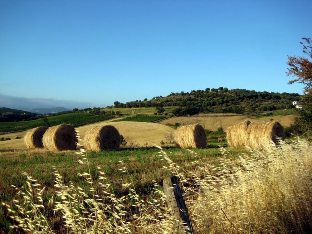 Quercia Rossa view 4