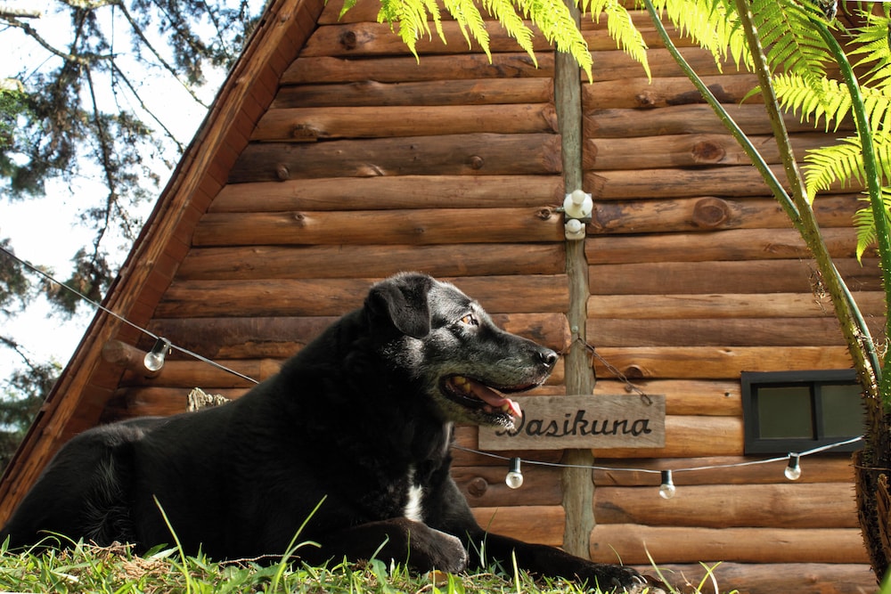 Wasikuna cabañas rurales tipo glamping