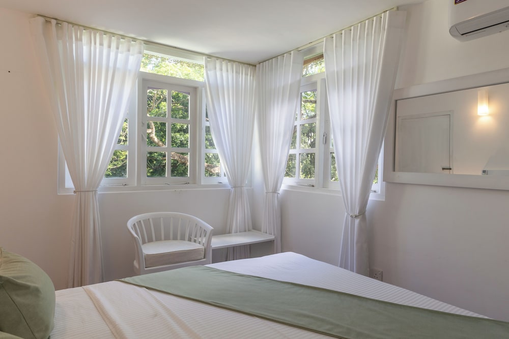 Greenwood Edge Kandy