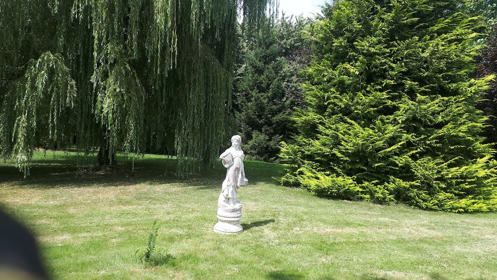 Photo 44