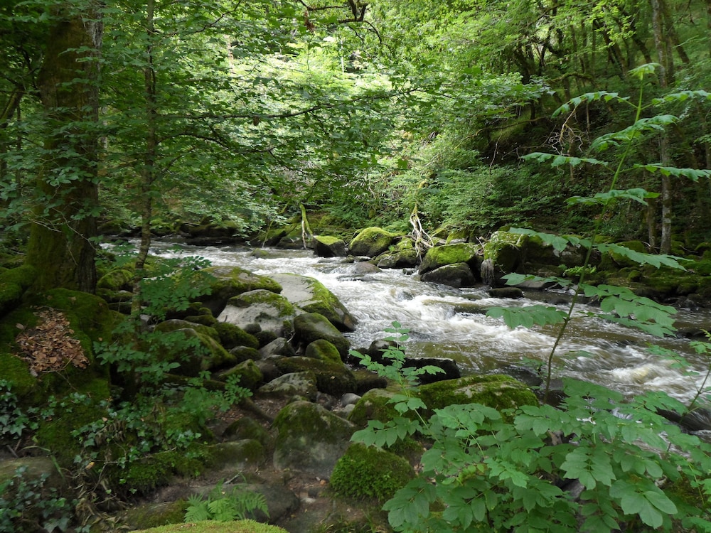 Photo 22