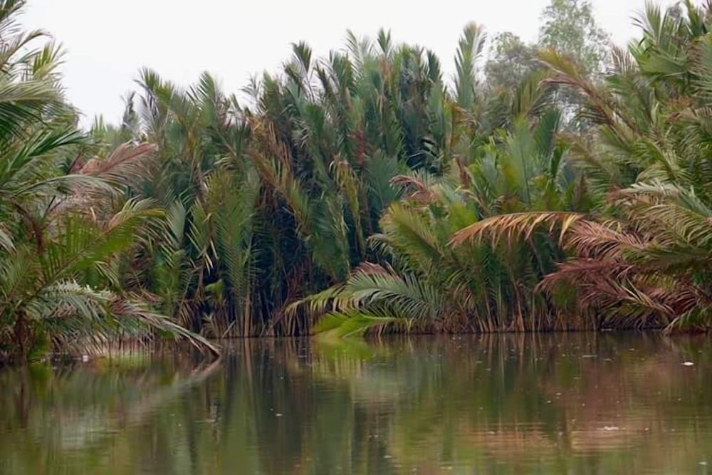 Samboja Lodge