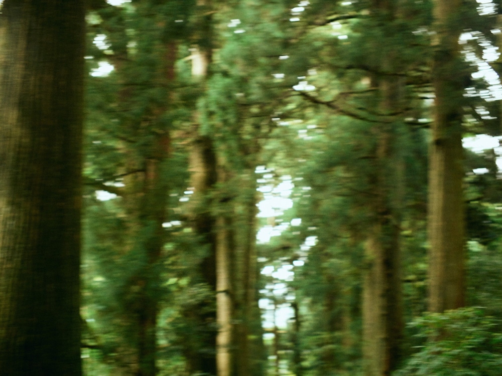 GEOSPOT MOTOHAKONE B