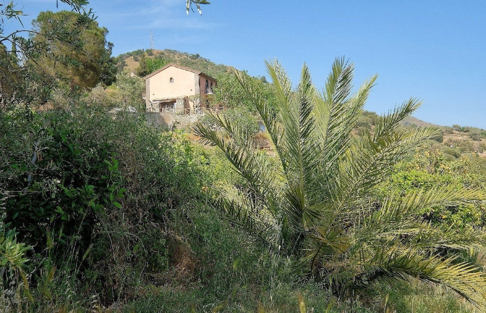 Antico Palmento di Feo Coniglio