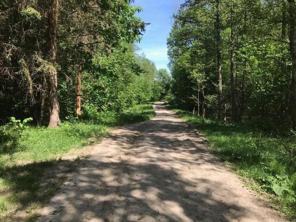 Photo 46