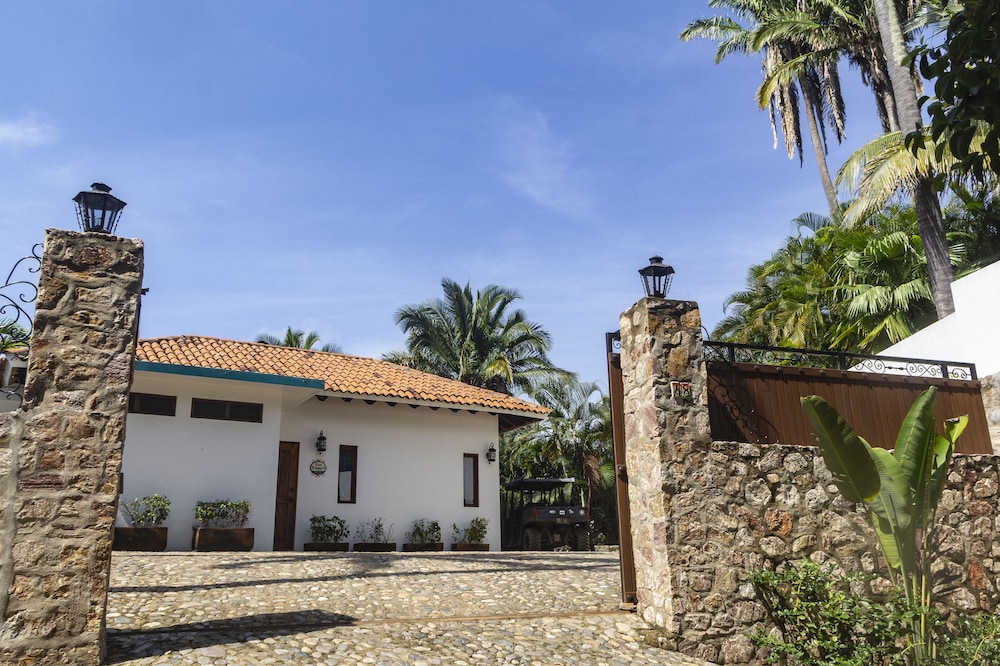 Special Place Where you Combine the Peace of the Jungle With the Ocean View view 2