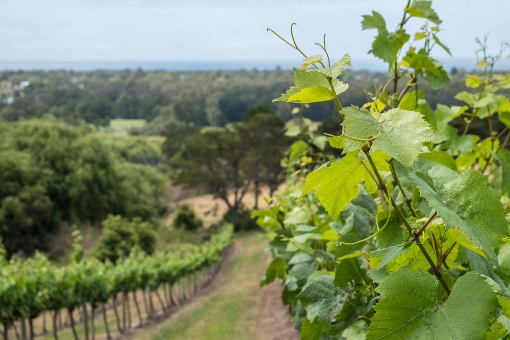Coolangatta Estate