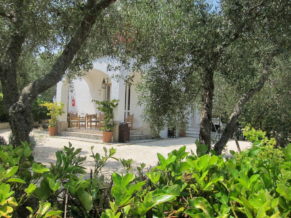 Tenuta Belvedere