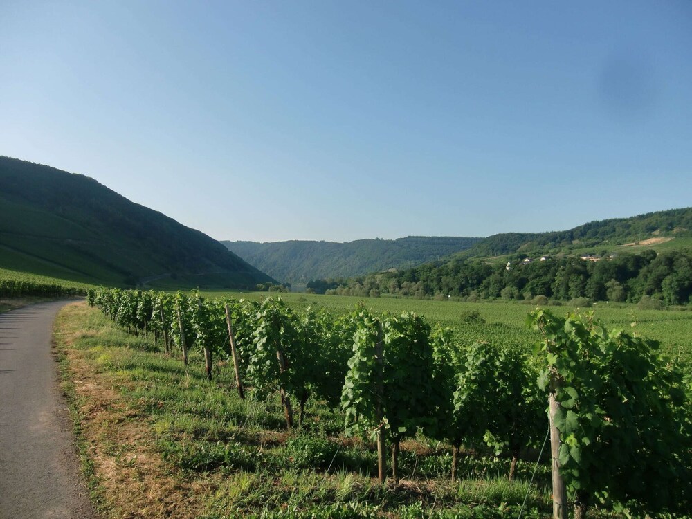 Comfortable Holiday Home Near Vineyards in Bremm