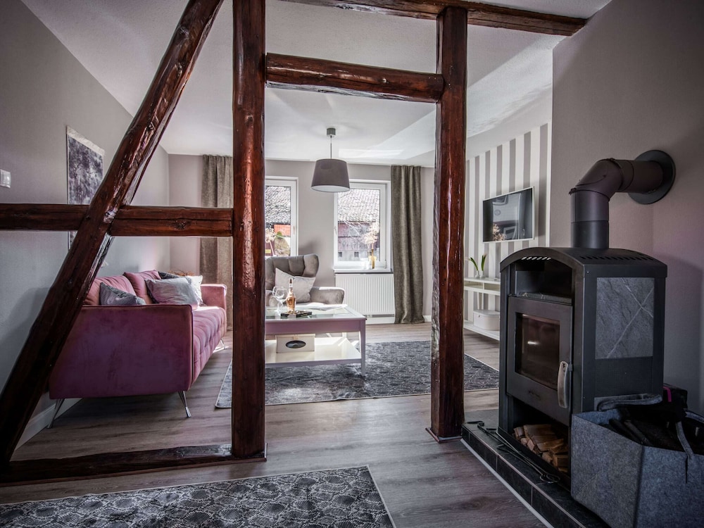 Apartment in Harz With Terrace and Fireplace