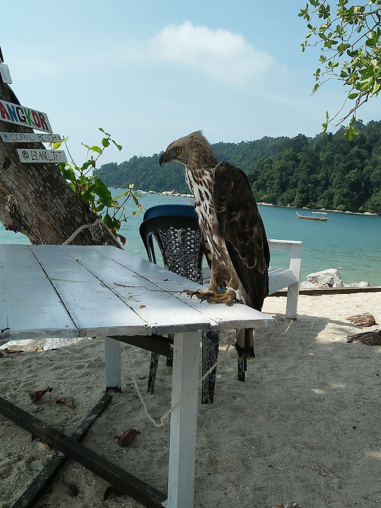 Nazri Nipah Camp