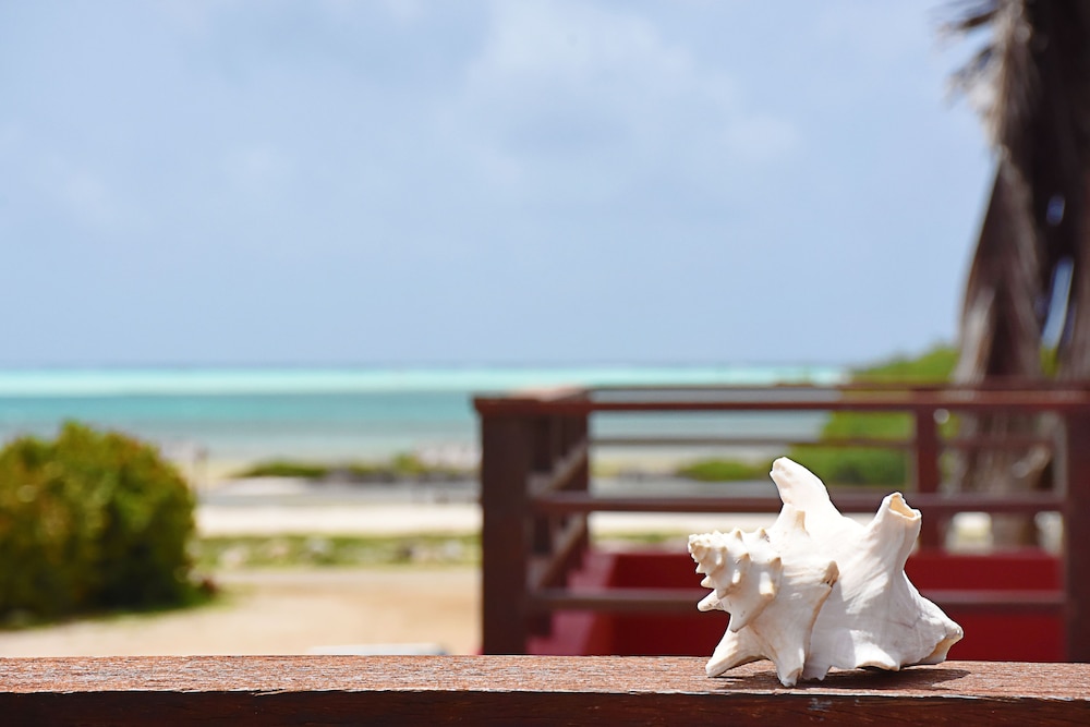 Sorobon Boutique Hotel Bonaire