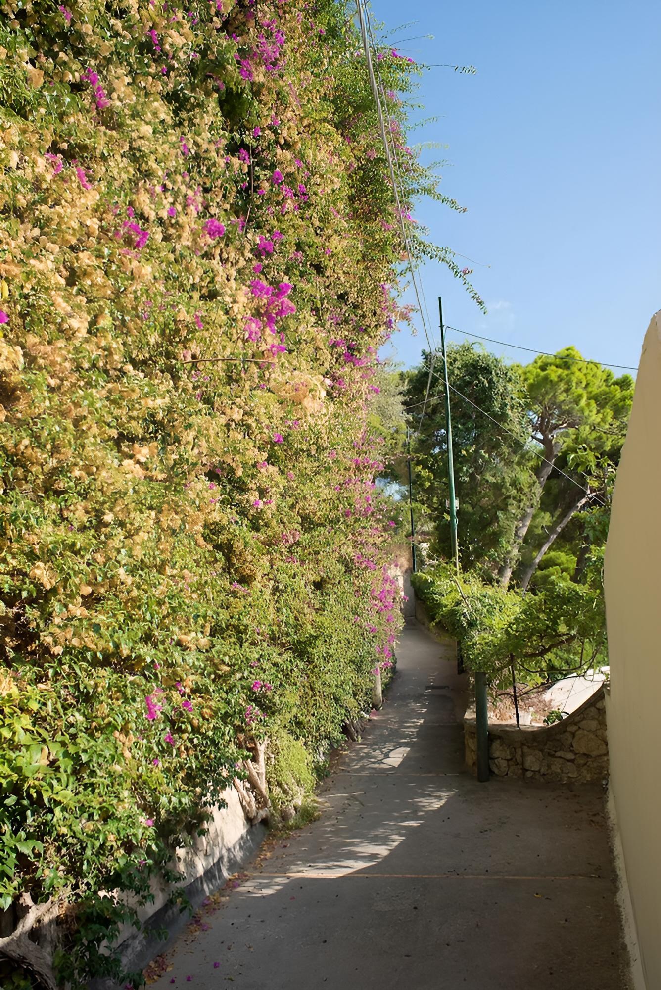 La Coccodrilla in Capri view 3