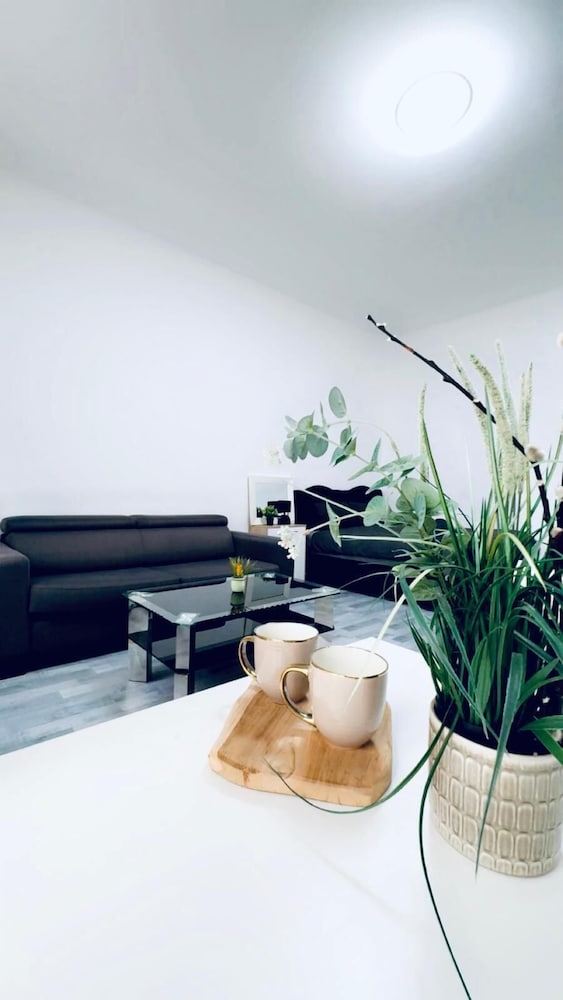 Beautiful Studio Apt Near Rathausplatz