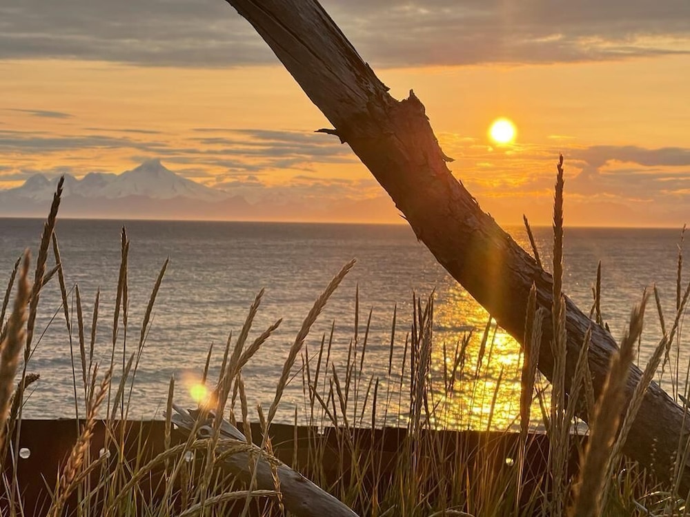 King Halibut Lodge - Property Image 1