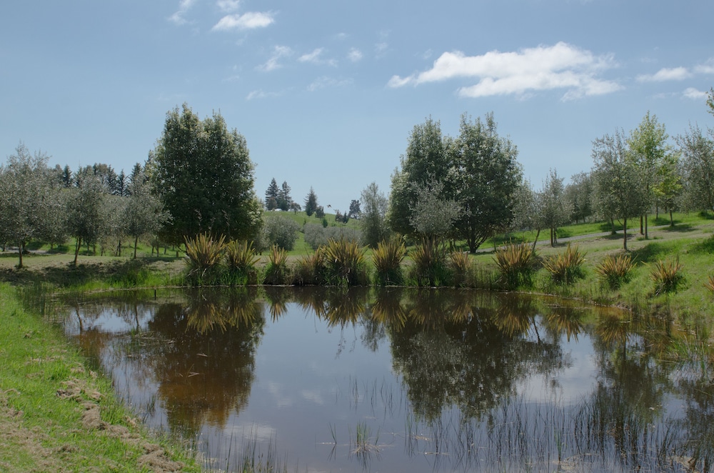 Tasman Hill Lodge - Adult Only