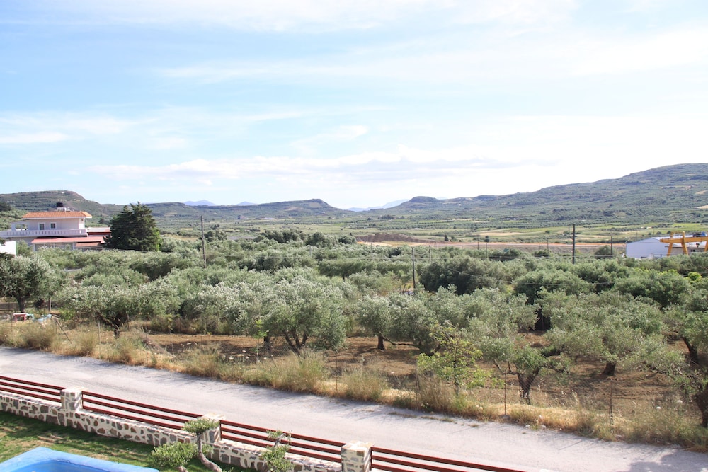 Photo 44