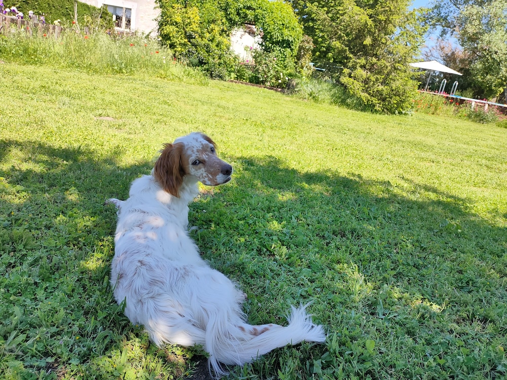 La Pause Val de Loire