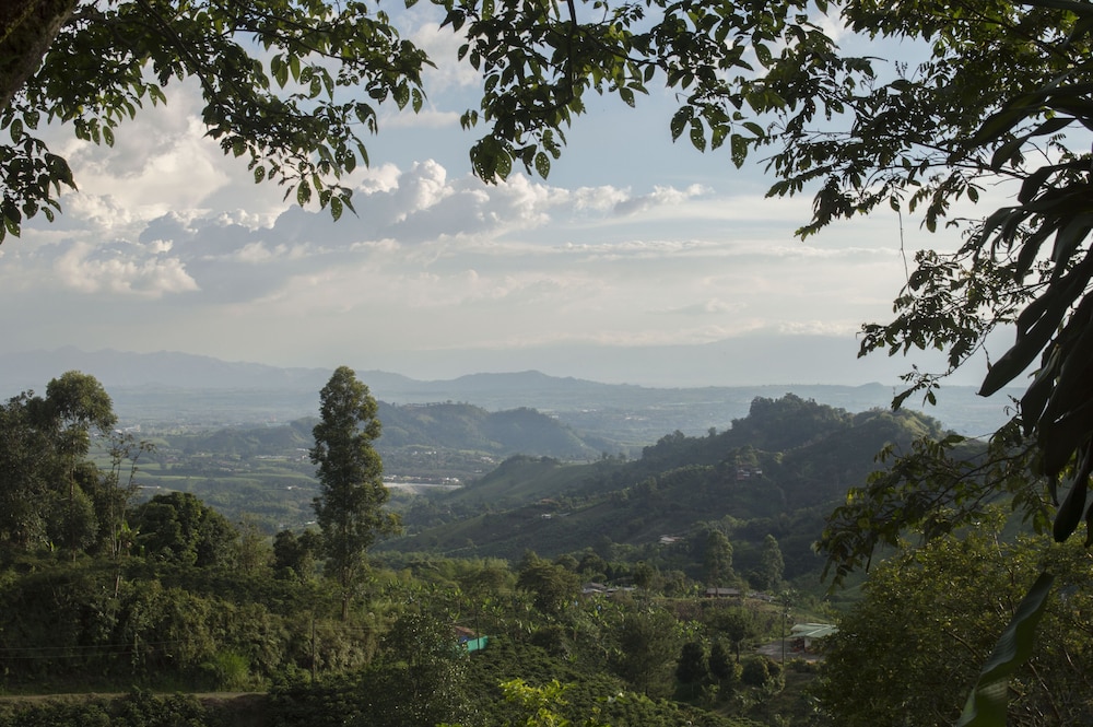 Monte Jazmín