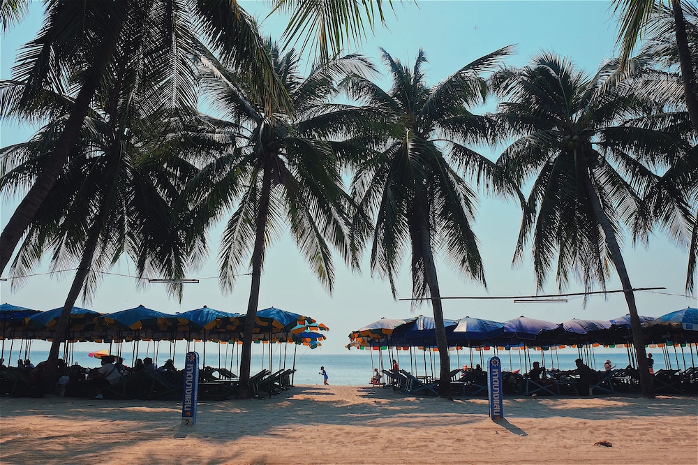 Sea Sand Trees