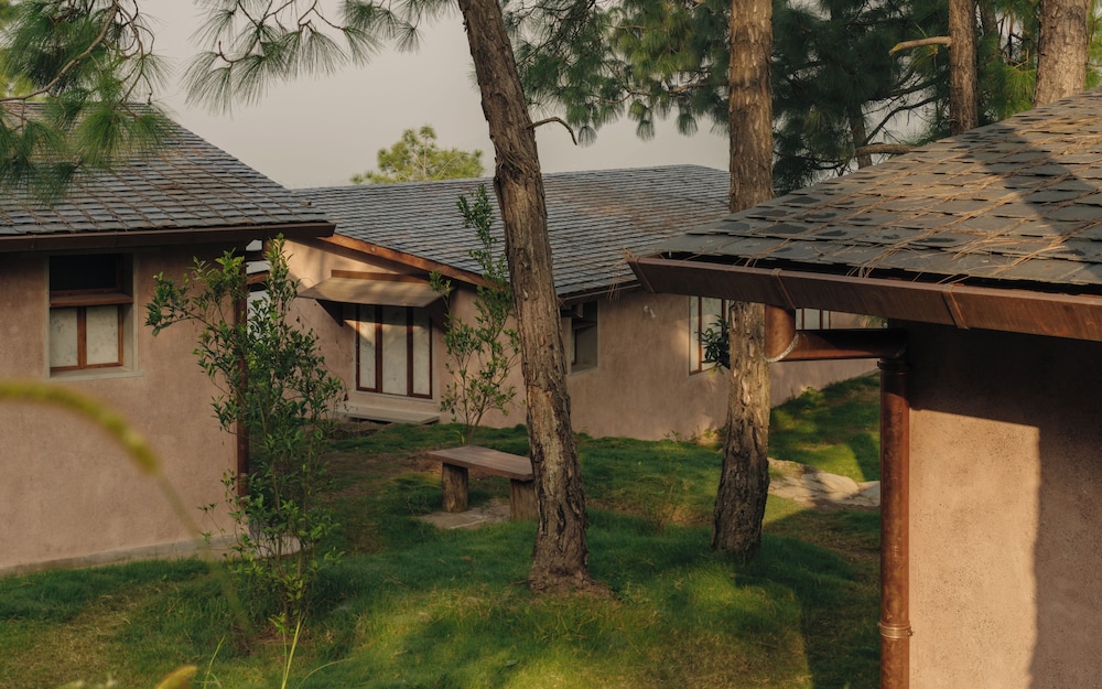 Amaya Kasauli