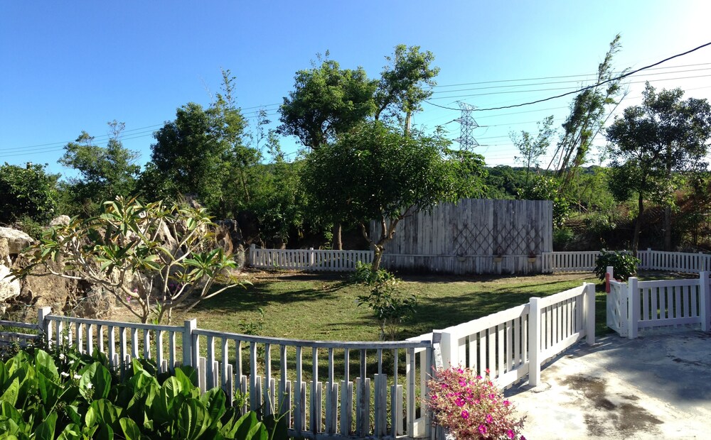 Photo 25