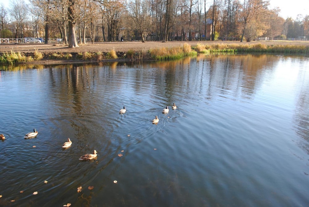 Photo 52