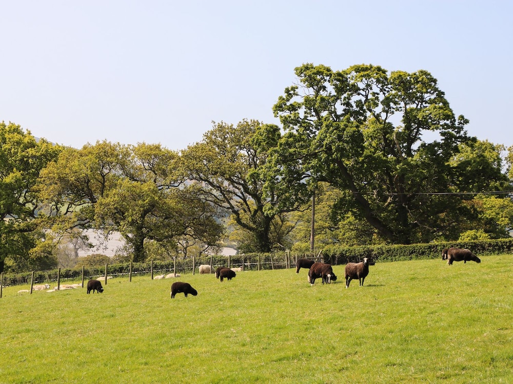 Cefn Isaf