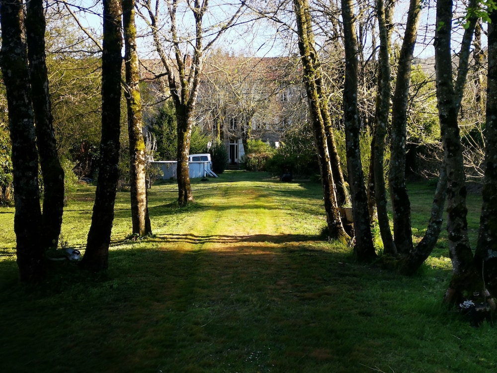 Photo 19