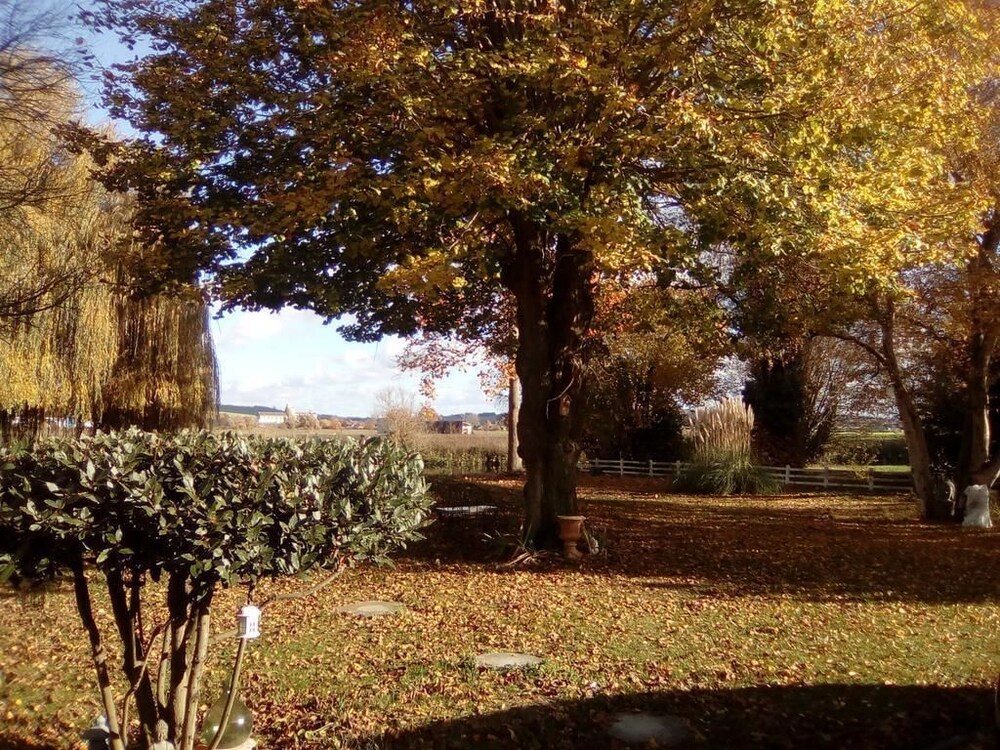 Havre de paix au bord de l'Eure view 3