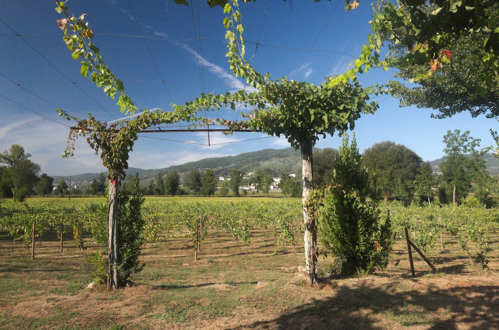 Quinta da Cancela, photo 36