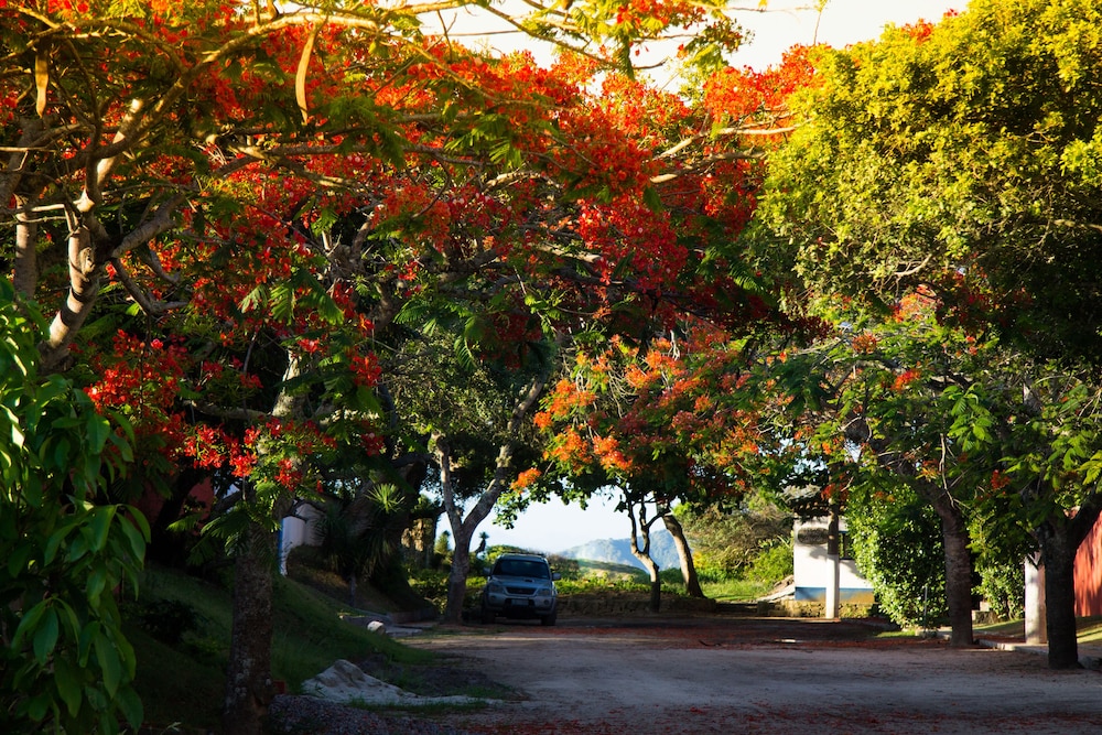 Homestay Búzios