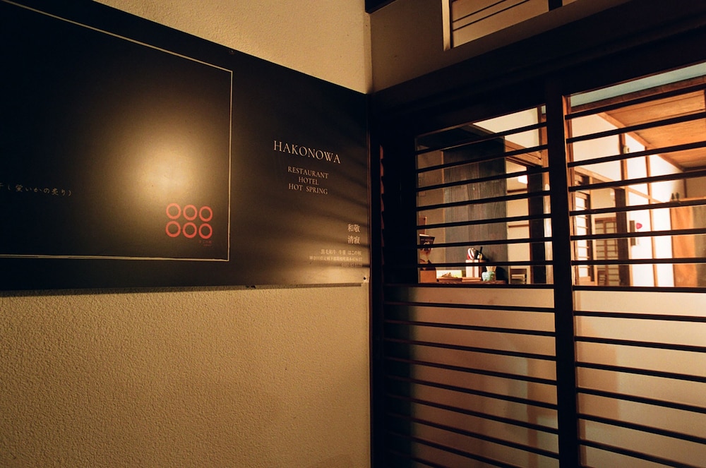 Hakonowa Hot spring inn view 3