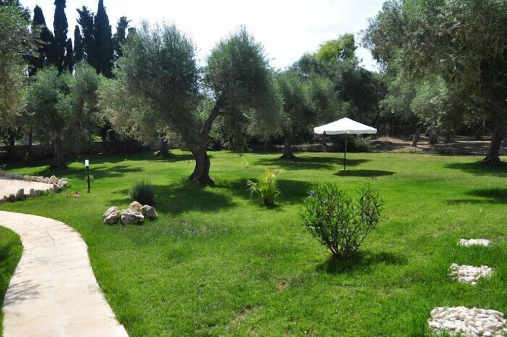 Photo 10