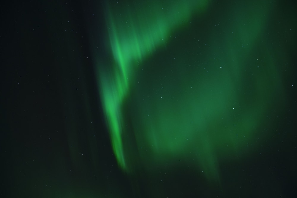 Långforsen Lapland Experience