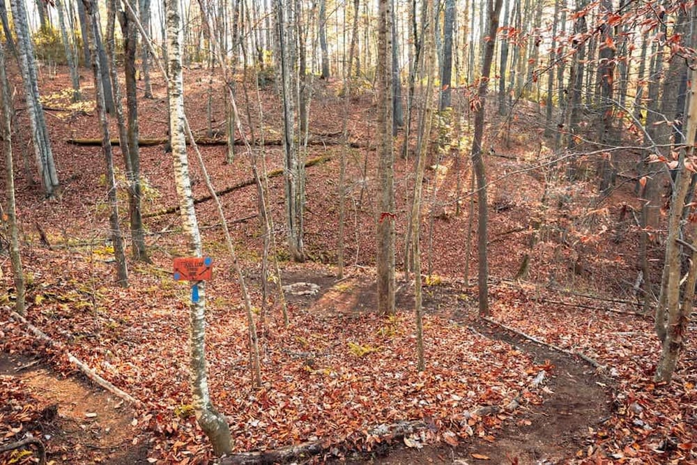 Blue Ridge Beech Cabin