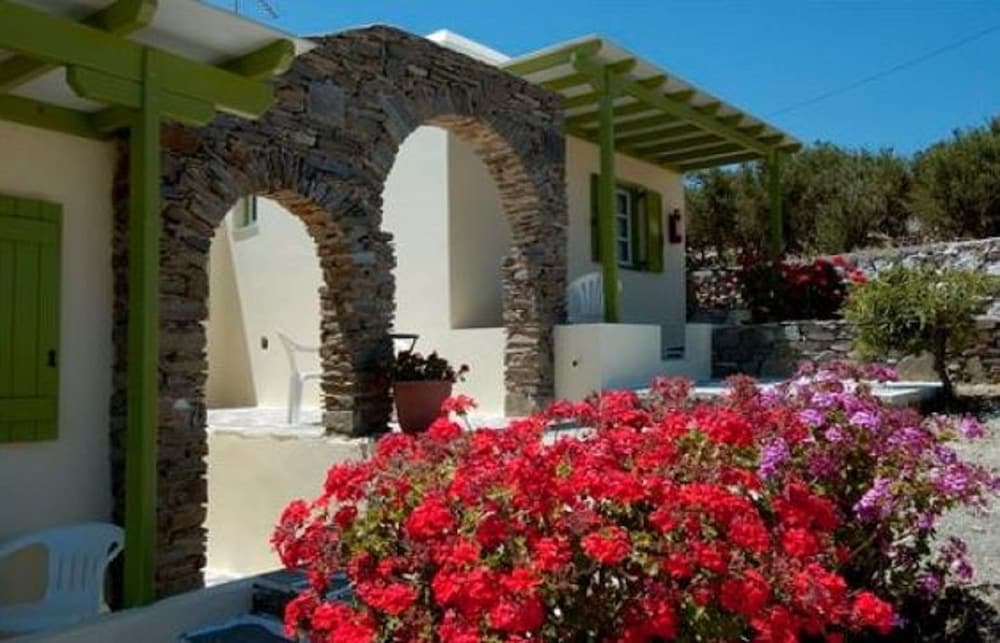 Asante Paros