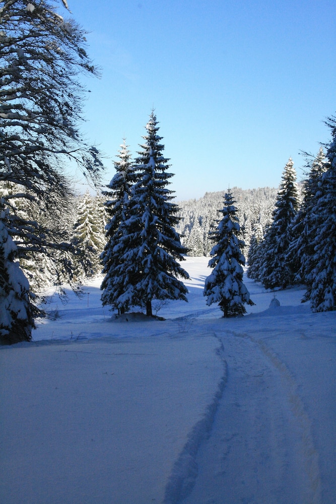 Au Coeur du Lapidaire