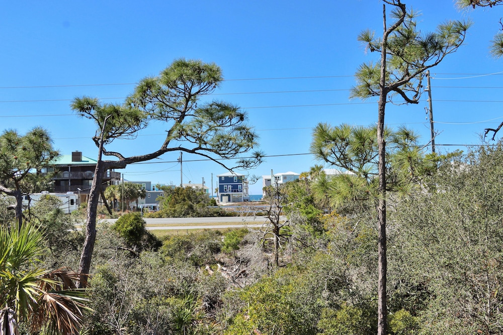 Treetops