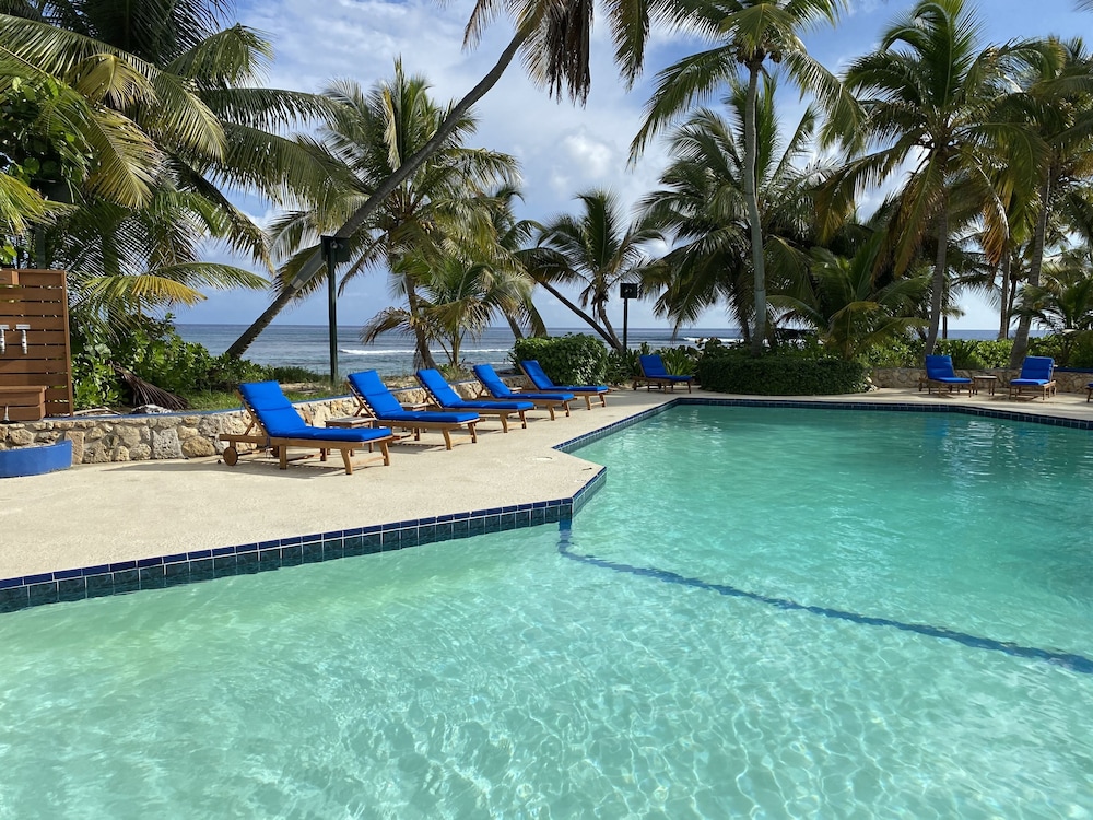 Pool & Wellness