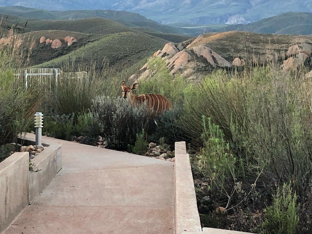 Landrani Luxury Lodge