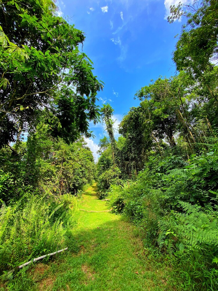 Las Arrieras Nature Reserve
